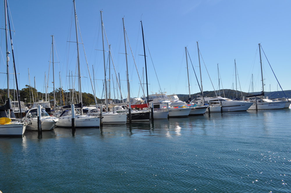 Sailing boats lined up on Pittwater