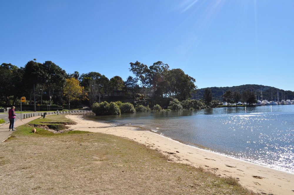 Sunday morning, lady walking dog, border of Chrch Pt &amp; Bayview