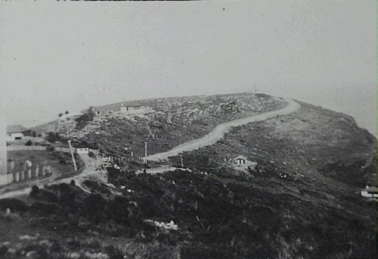 View along Karloo Parade and Bungan Head Road, 1922-24