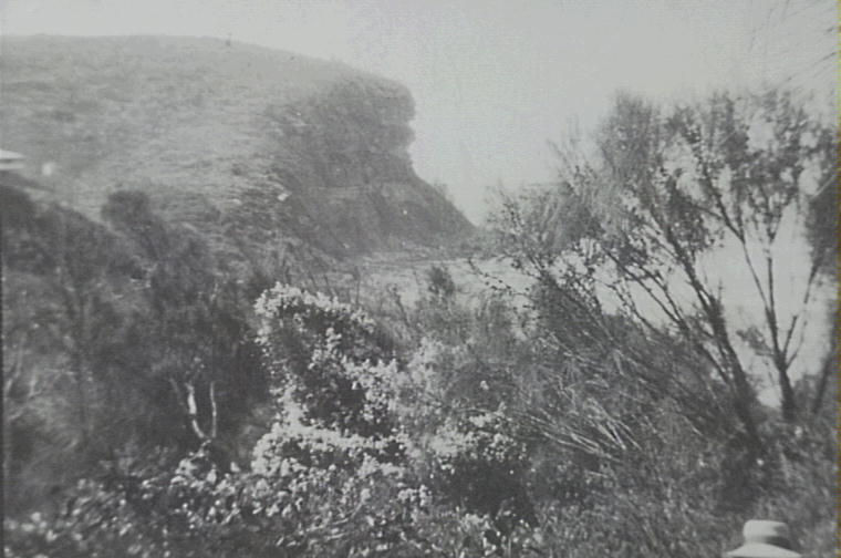 Bushland at Bungan, c1930