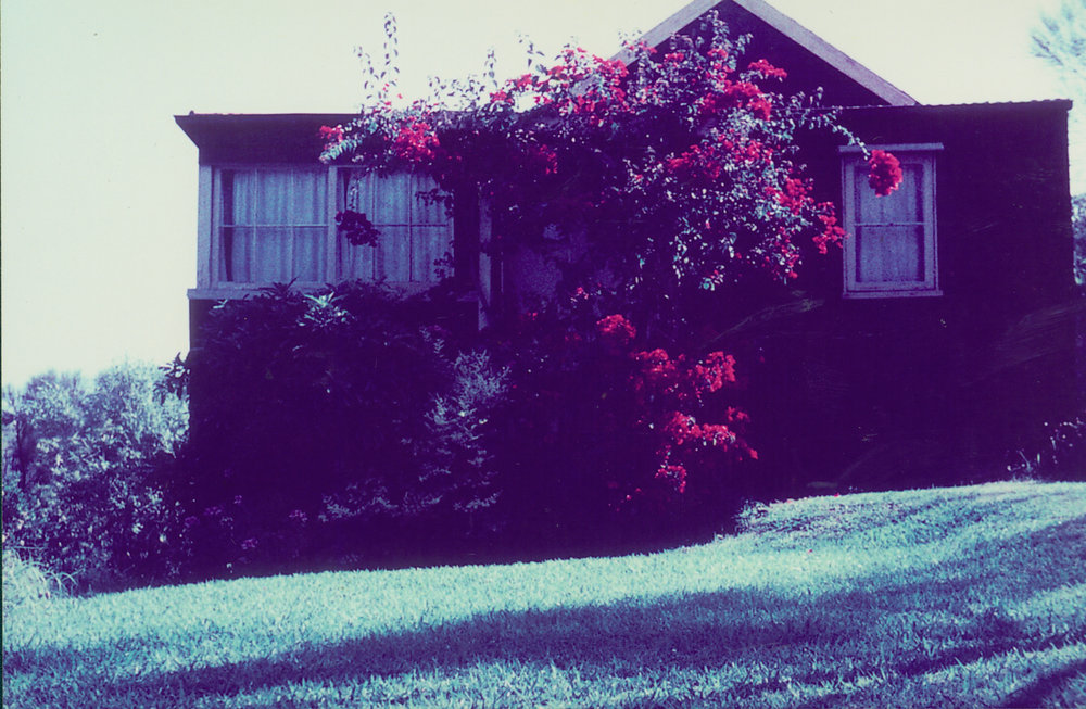 Morrison house at 25 Karloo Parade, Bungan, 1962