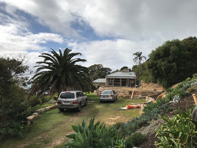 House on hill with palm tree, Bungan Beach