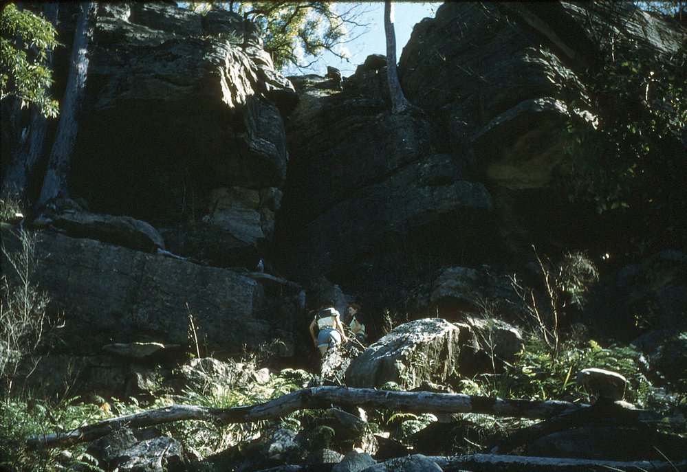 Margaret Pilgrim and friends climbing rock face at Brown's Bay
