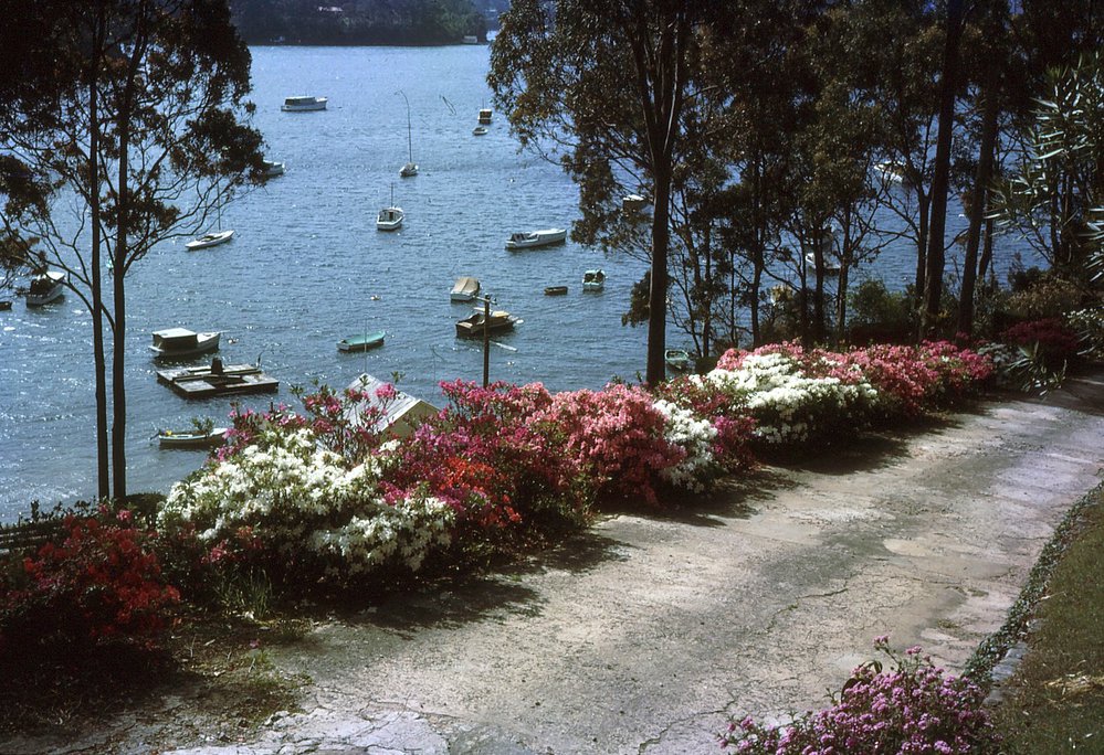 McCarrs Creek Road, Church Point.
