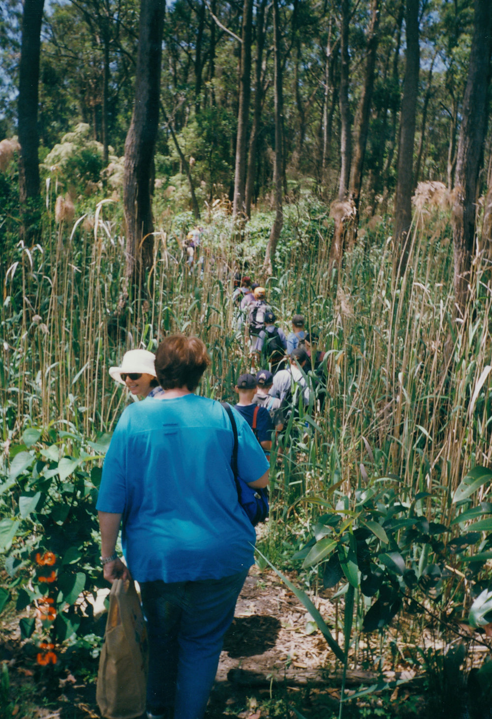 Narrabeen North catchment excursion Narrabeen North Public School