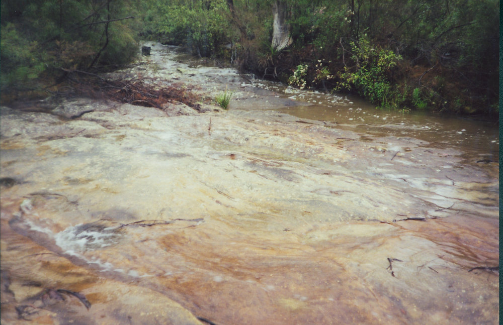 Camp Kedron, junction of main and little Wirreanda Creek, Ingleside
