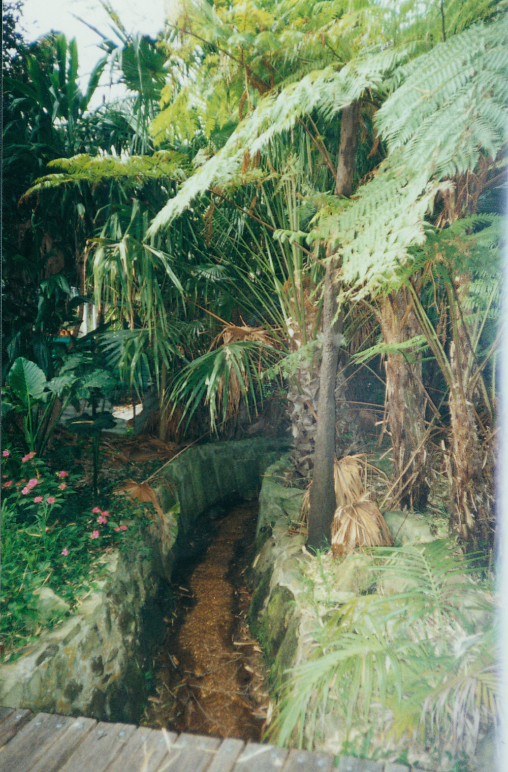 Klerks nursery, Upper Cicada Glen Creek, Chiltern Road, Ingleside