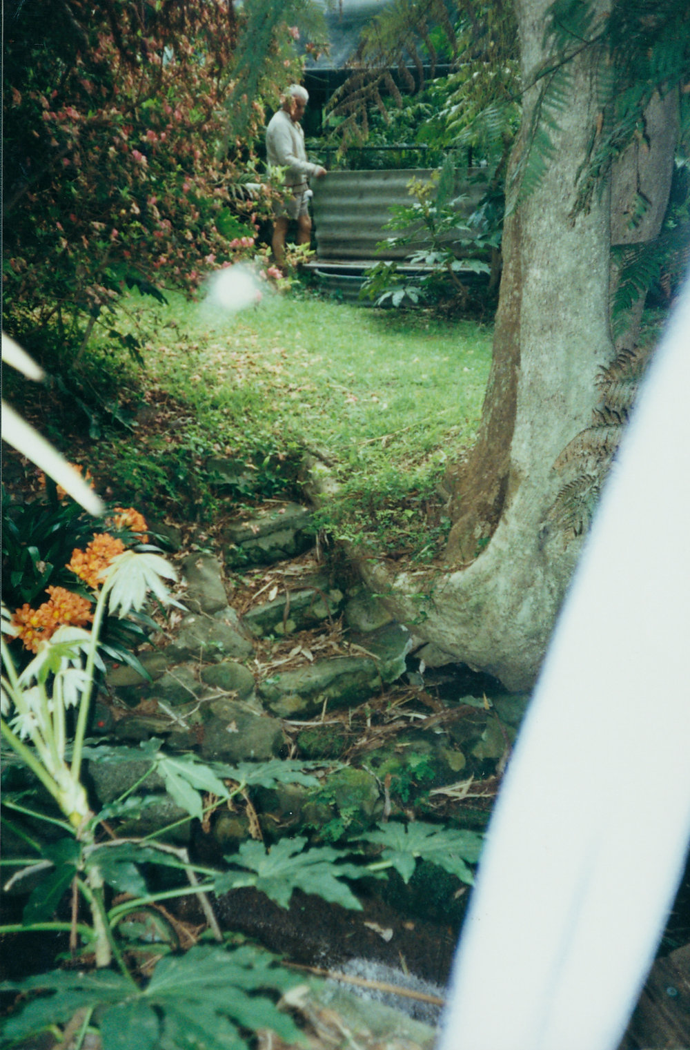 Spring well soak, Klerks Nursery, Cicada Glen Creek, Ingleside, 1998