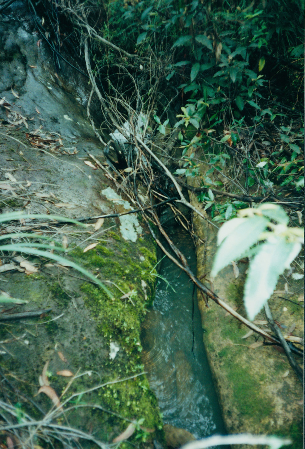 Cicada Glen Creek channel at Klerks Nursery, Ingleside, 1998