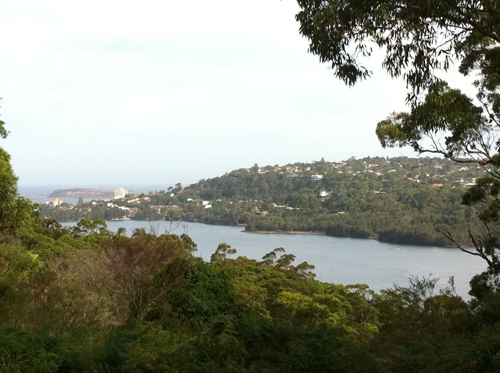 Narrabeen Lagoon from Elanora Heights