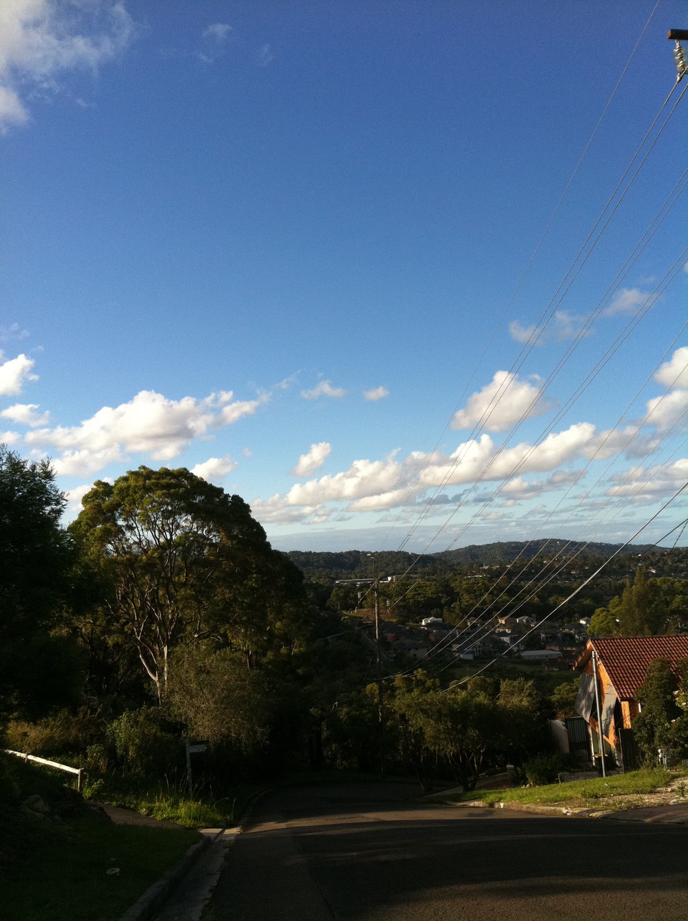 Elanora Heights. 