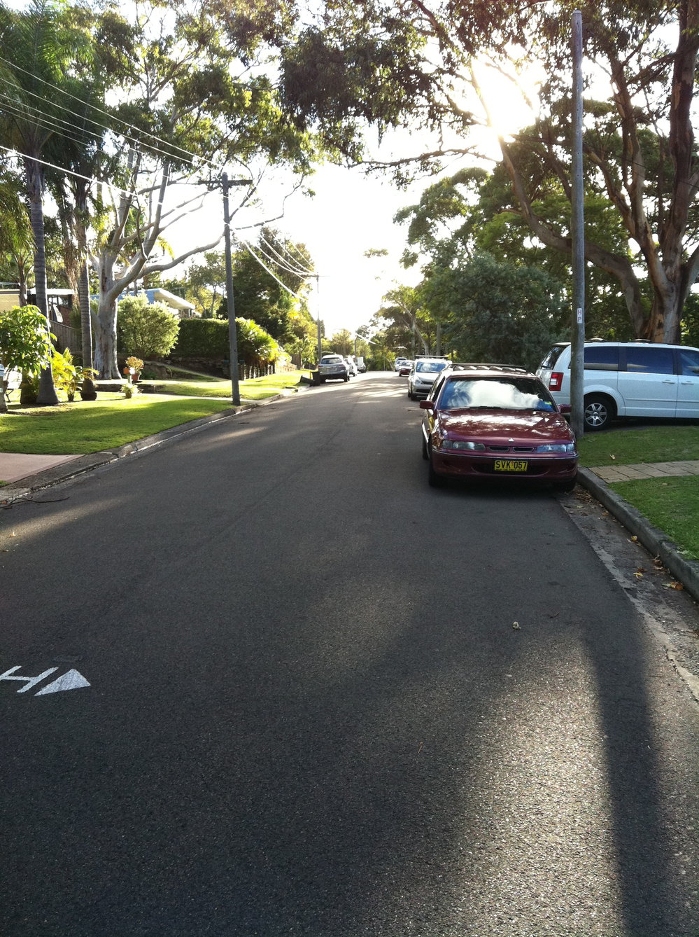 Cars parked in a street in Elanora Heights. 