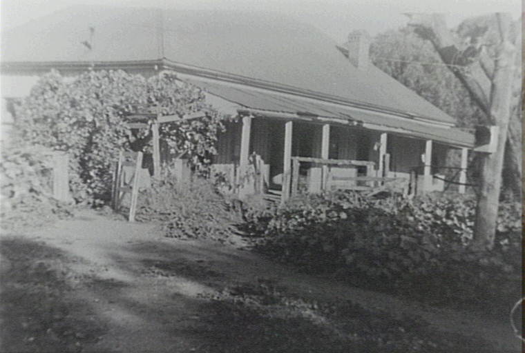 Back of the Larkin Family home, The Pines at the corner of Mona Vale Road and Powderworks Road, Ingleside