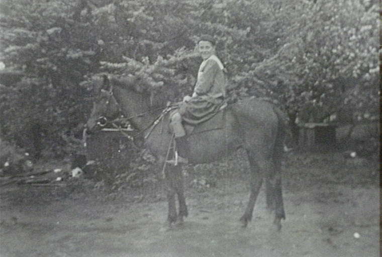 Girl on horse in the Ware Family orchard in Thornleigh