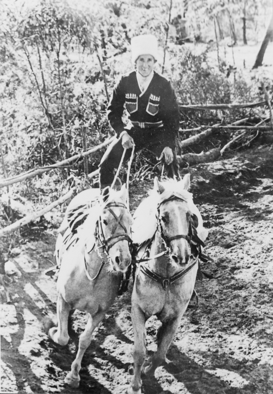 Dick Harrison riding palominos at Smoky Dawson's ranch, Ingleside.
