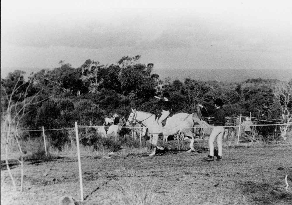 Peggy Brown's Riding School, Ingleside, 1960s-1970s