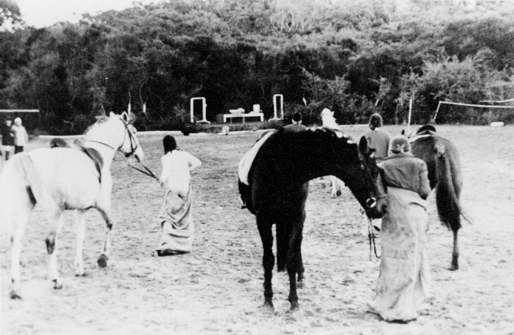 Peggy Brown's Riding School, Ingleside.