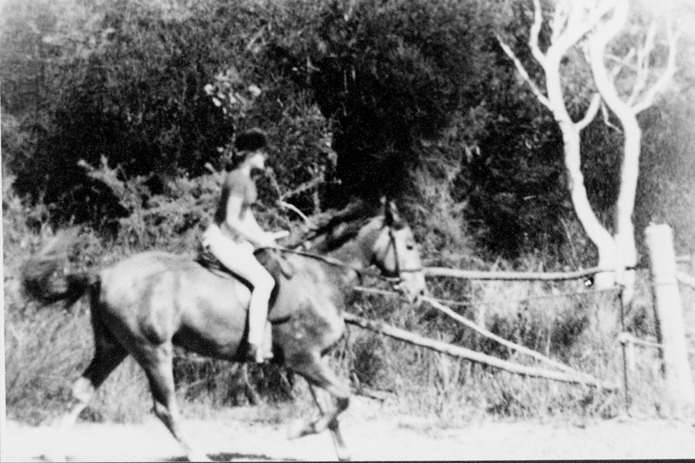 Peggy Brown's Riding School, Ingleside