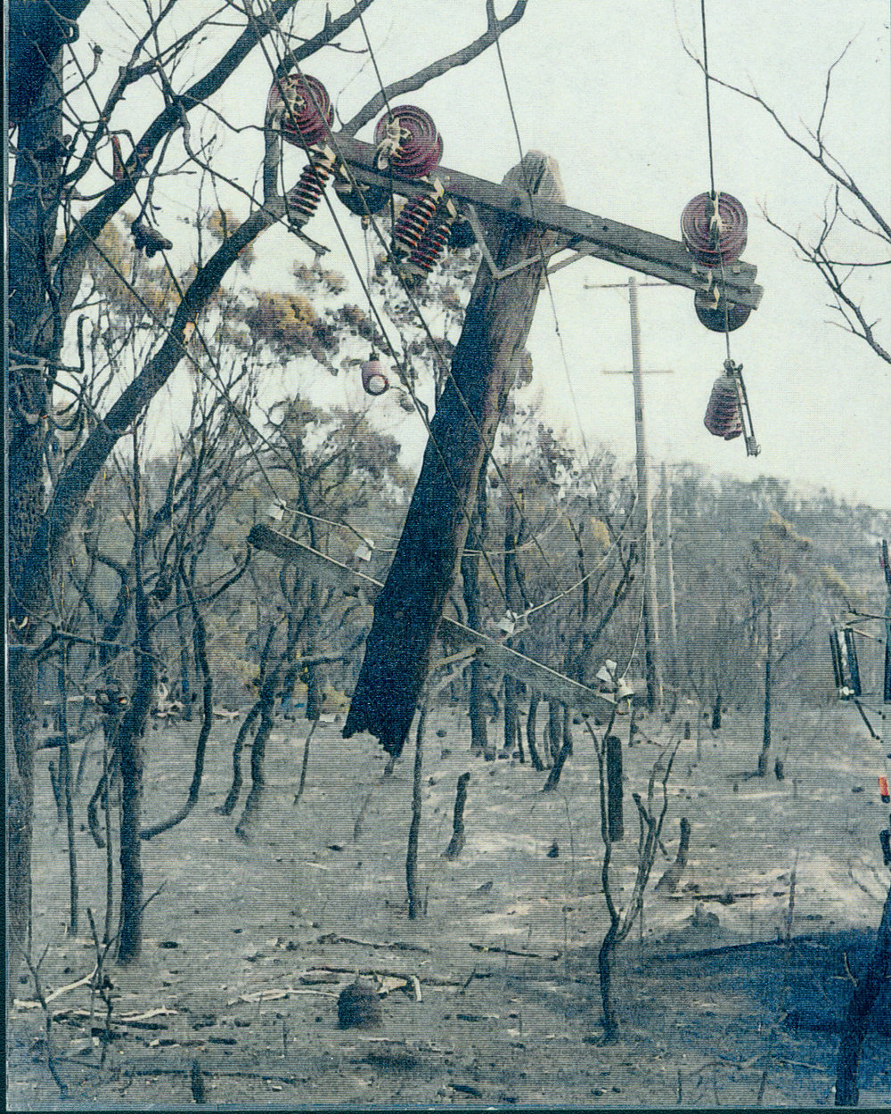 Damage to electricity lines at Ingleside.
