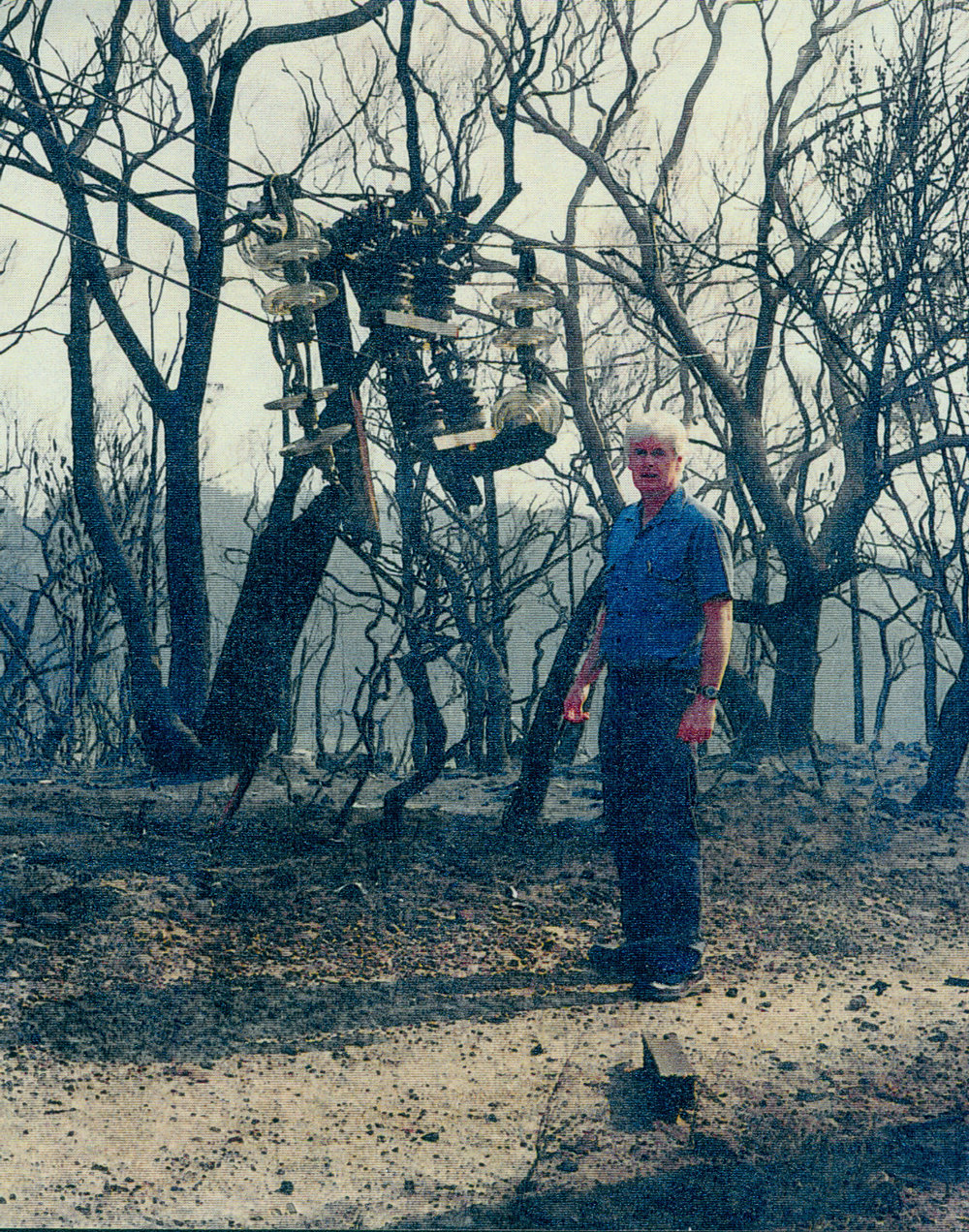 Damage to electricity power lines after bushfires, Ingleside.