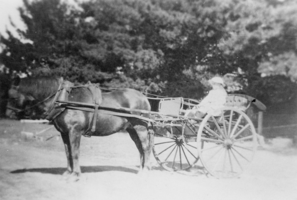 Young child on horse and buggy.