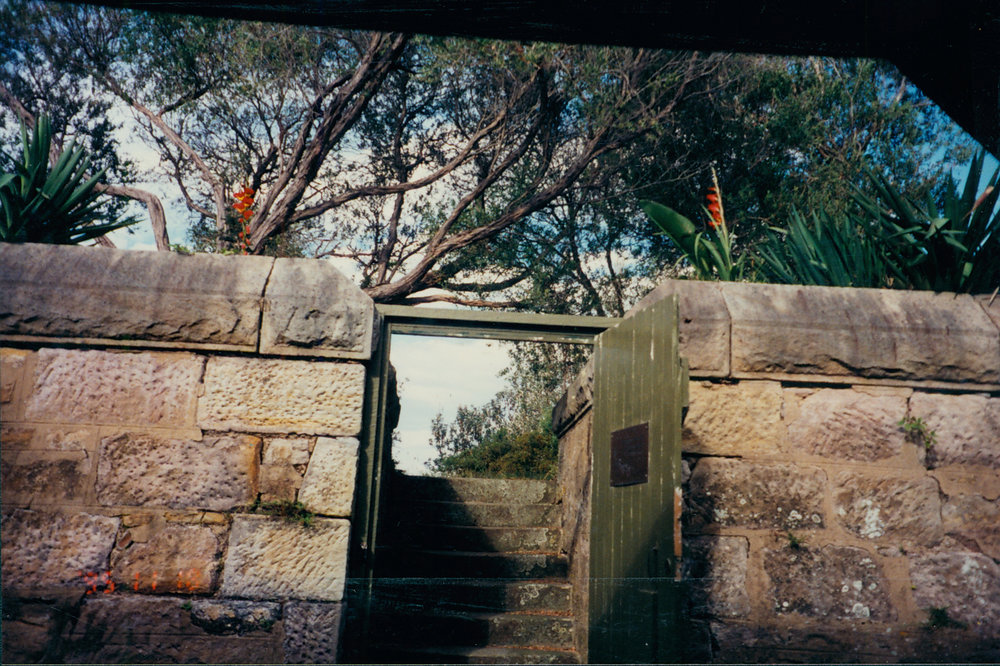 Gladioli plants on both sides of front gates blooming, Barrenjoey Lighthouse