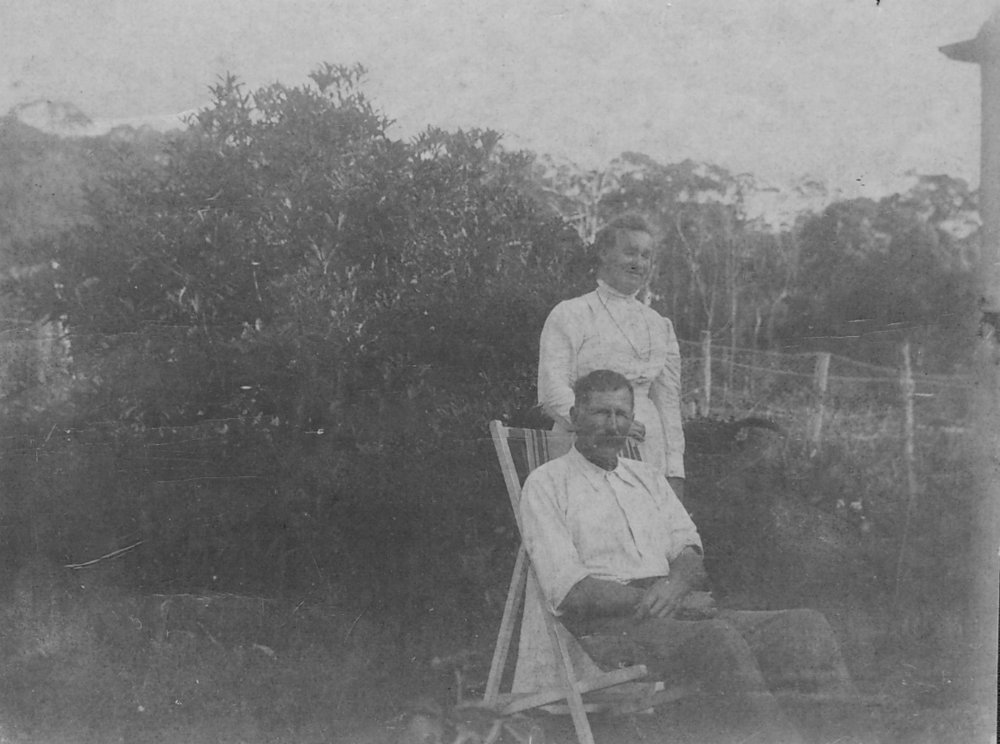 Wyndhams in the yard of Mona Vale house.