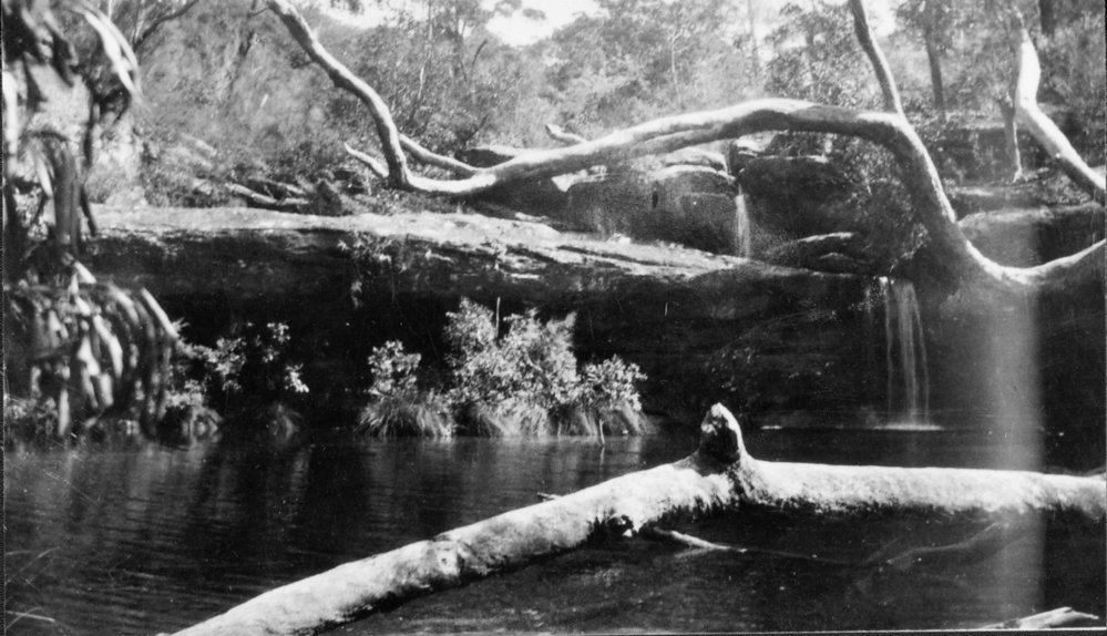 Irrawong Falls, North Narrabeen, 1928