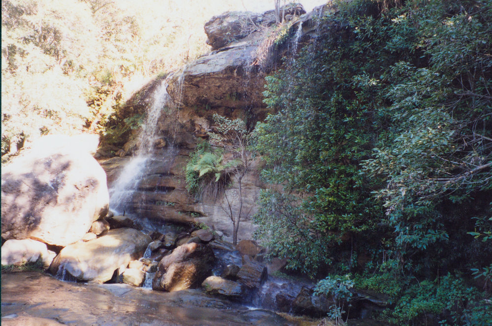 Third Falls above Irrawong Falls on left branch of creek, North Narrabeen, 2003