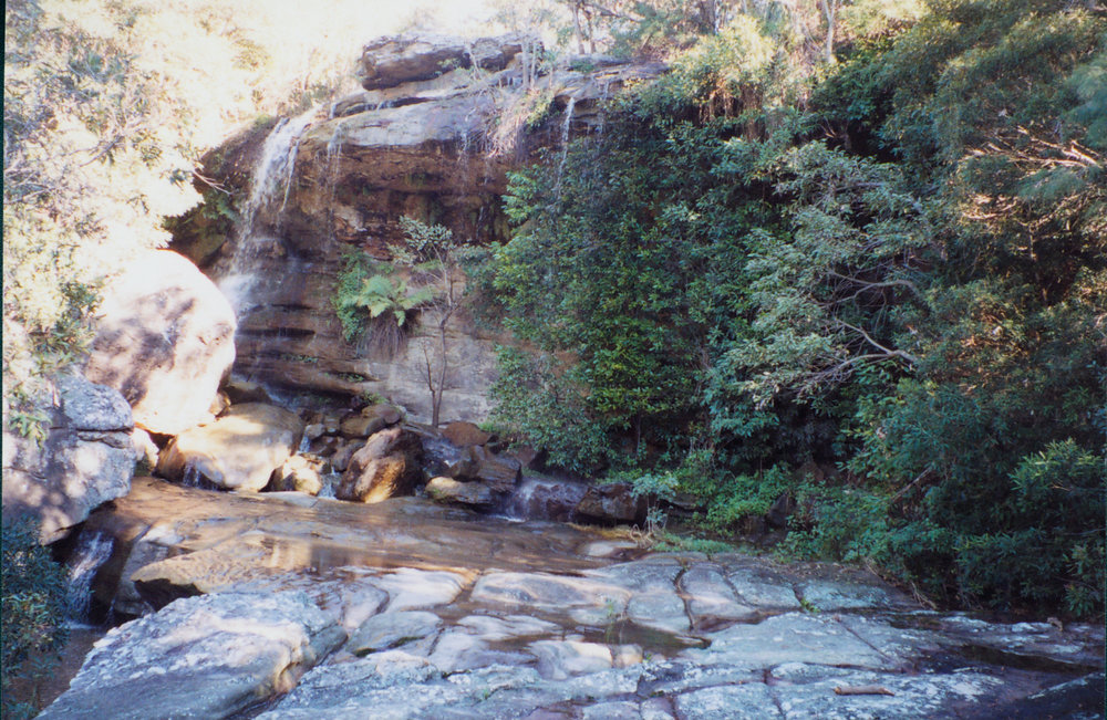 Third Falls above Irrawong Falls on left branch of creek, North Narrabeen, 2003