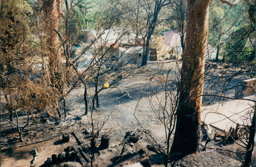 Burnt Backyard at Kuttabul Place, Elanora Heights, 1994