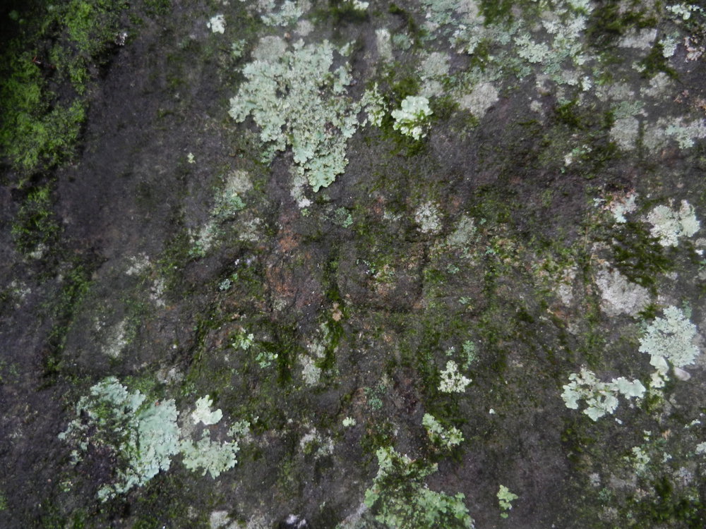 German engravings at Deep Creek prior to WWII