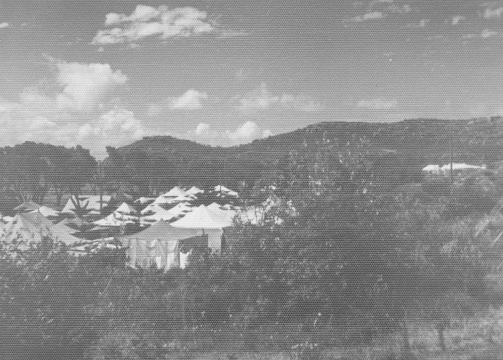Camping area on Australia Day, Palm Beach, 1948