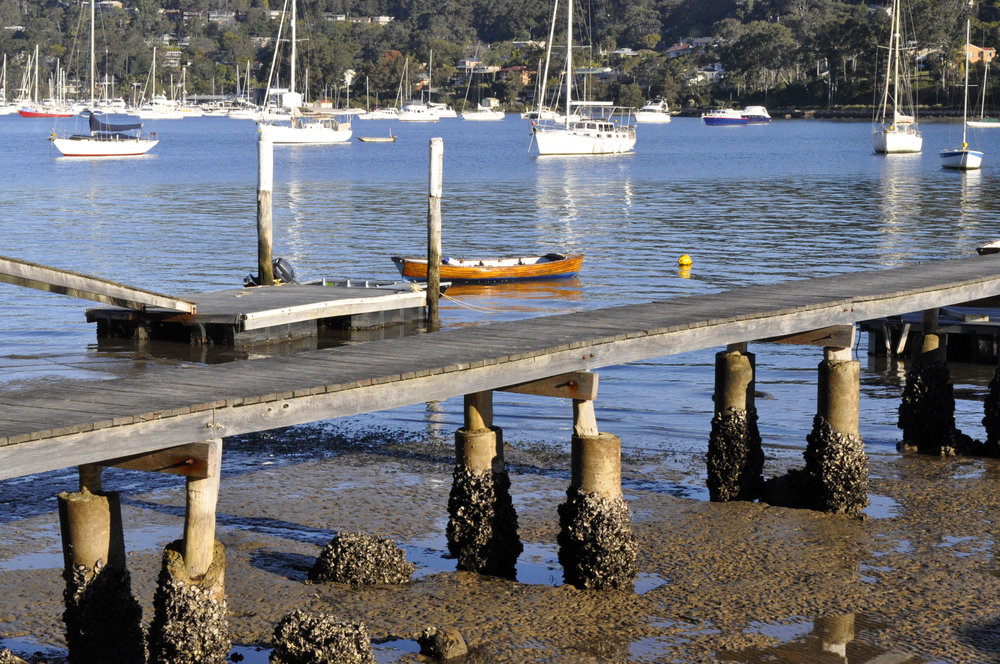 Jetties on Scotland Island, 2013