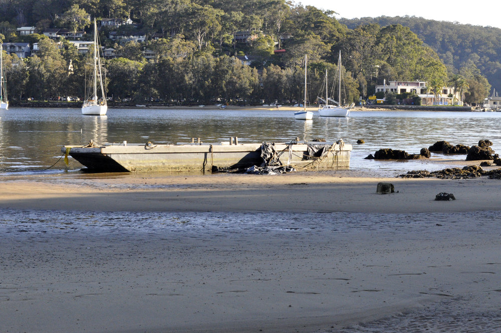 View at low tide from beach on Scotland Island