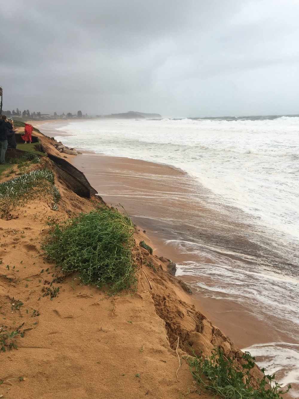 Mactier Street, Narrabeen, beachfront erosion, 2016