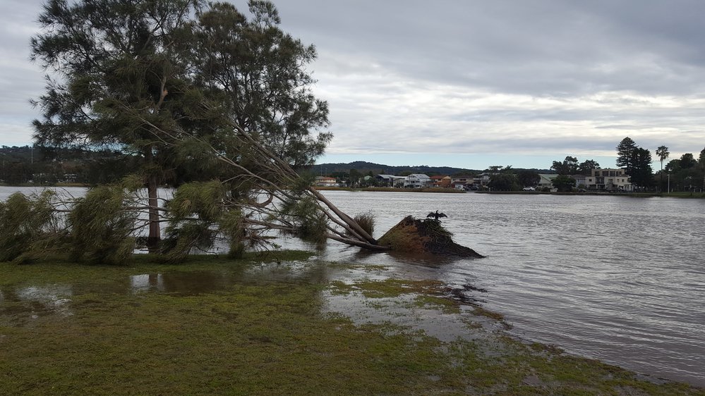 Malcolm Street, Narrabeen, 9am on 5th June 2016