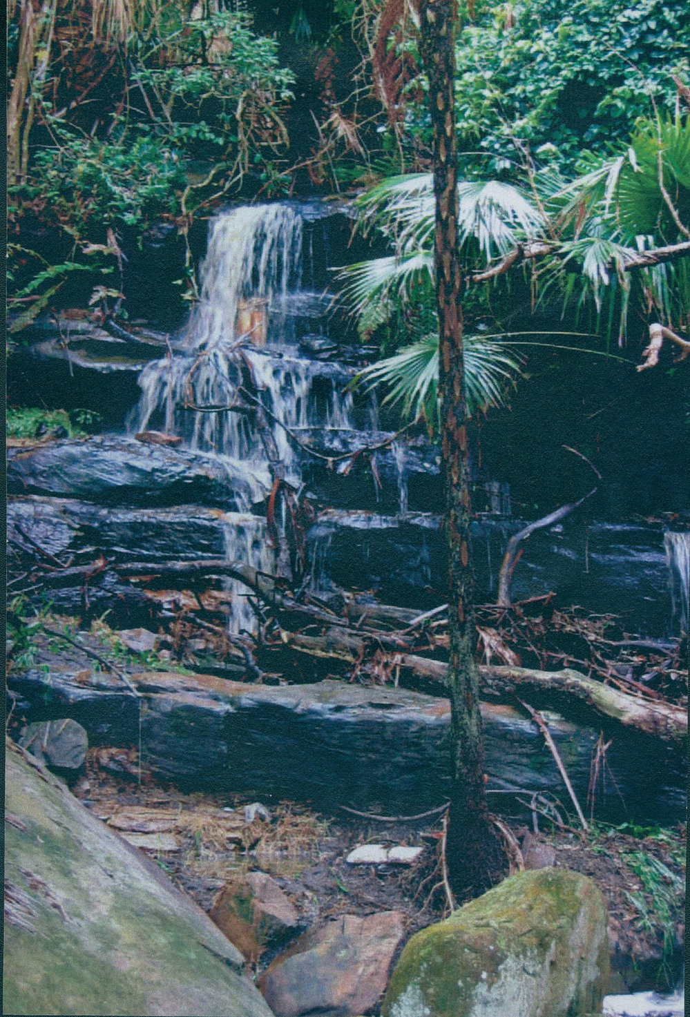 Waterfall, Dark Gully Creek