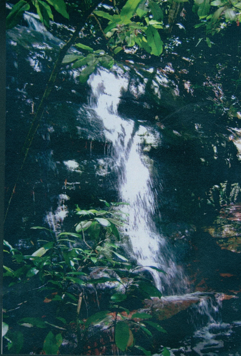Lawson Falls, Ku-ring-gai Chase National Park.