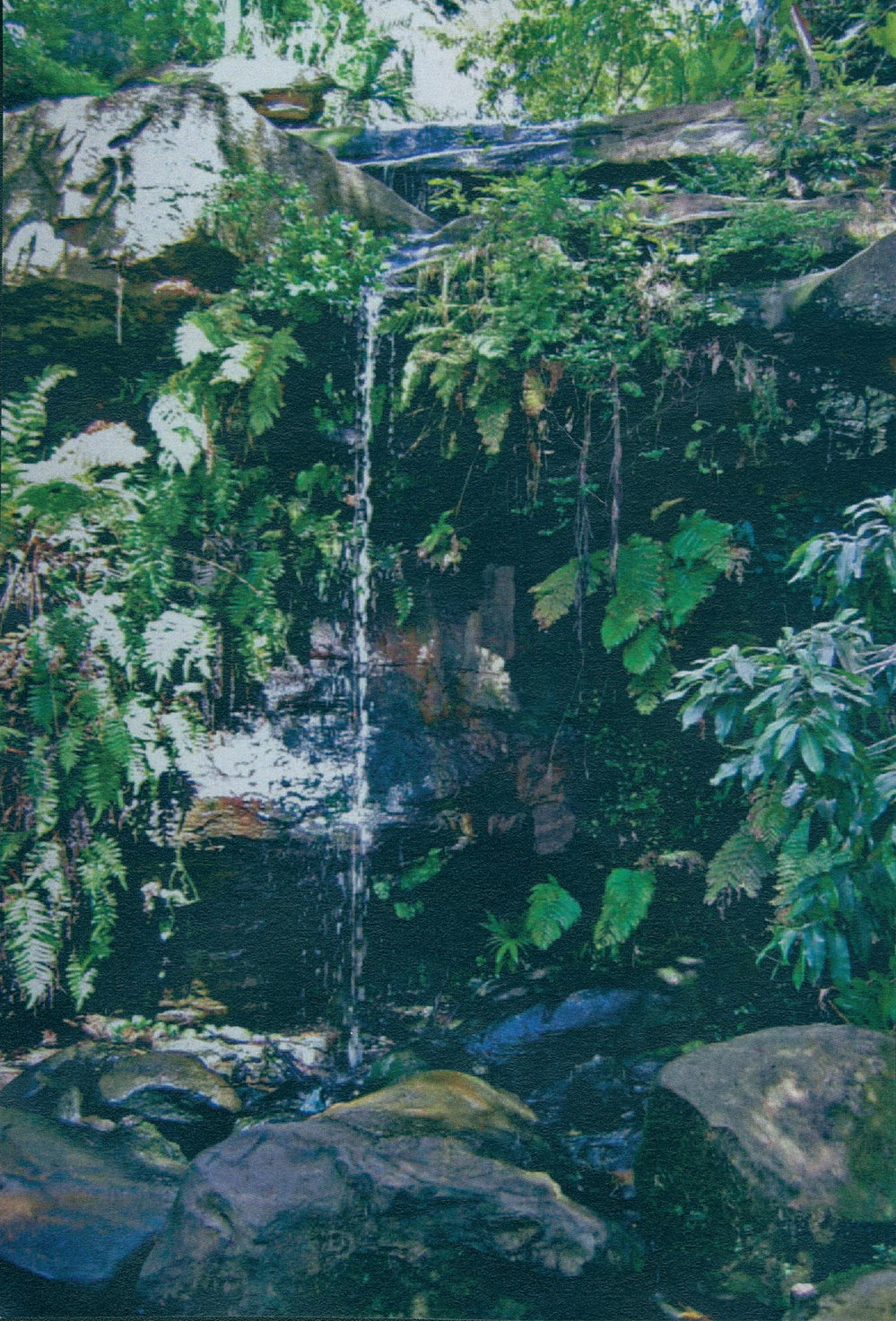 Waterfall at Nareen Creek, Elanora Heights