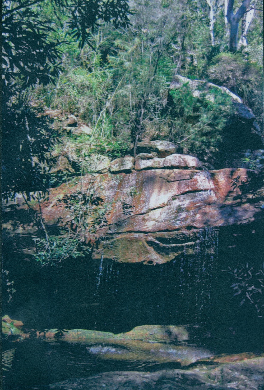 Unnamed waterfall at Salvation Creek, Ku-ring-gai Chase.