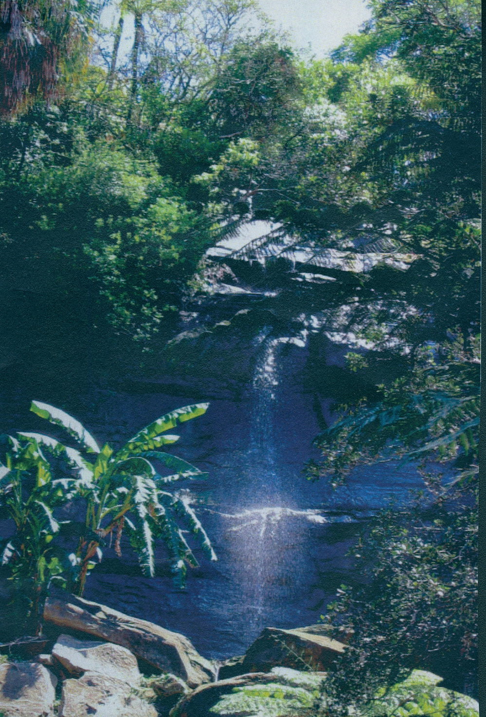 Unnamed waterfall at Nareen Creek, North Narrabeen.