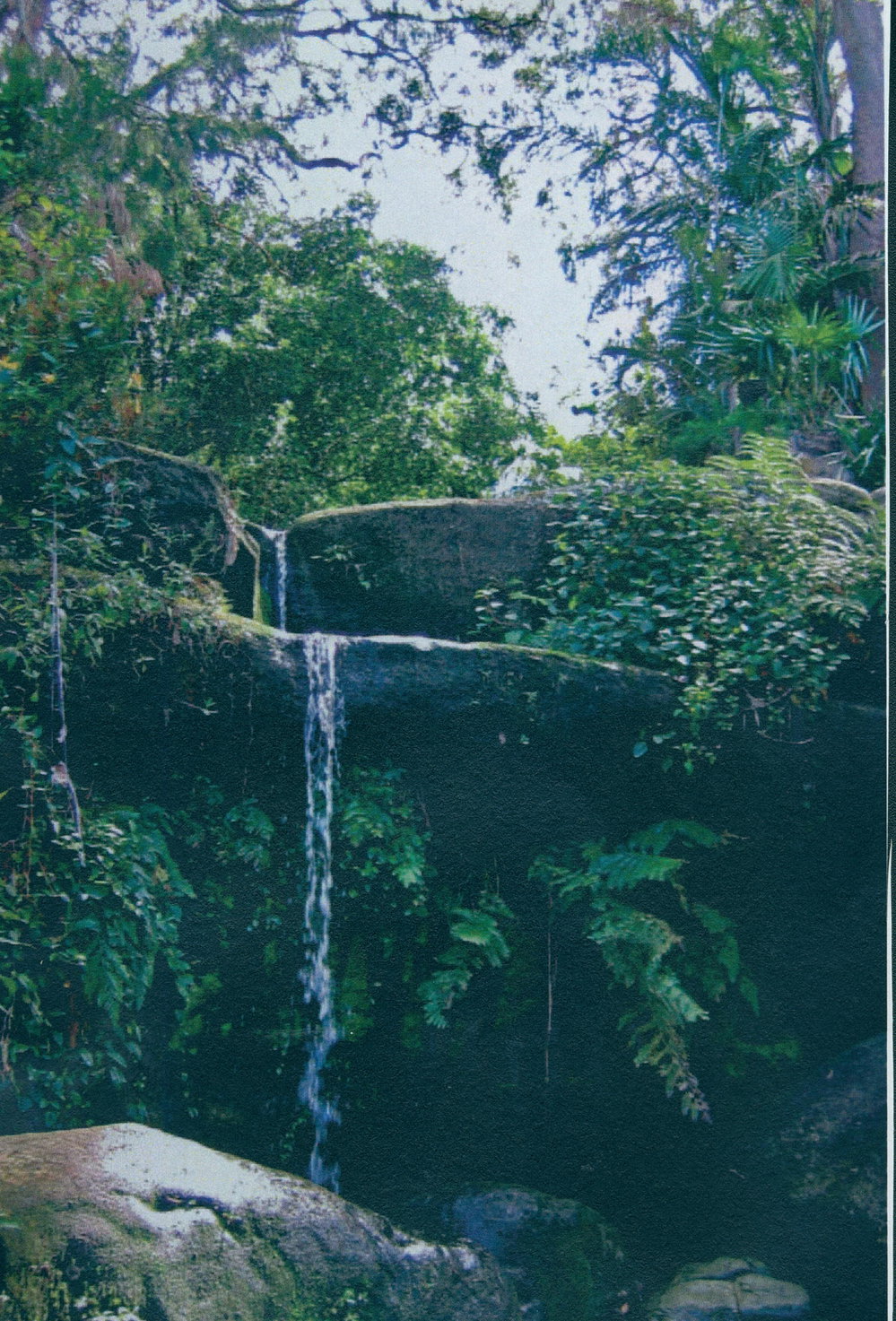 Janlapue waterfall, Elanora Heights 