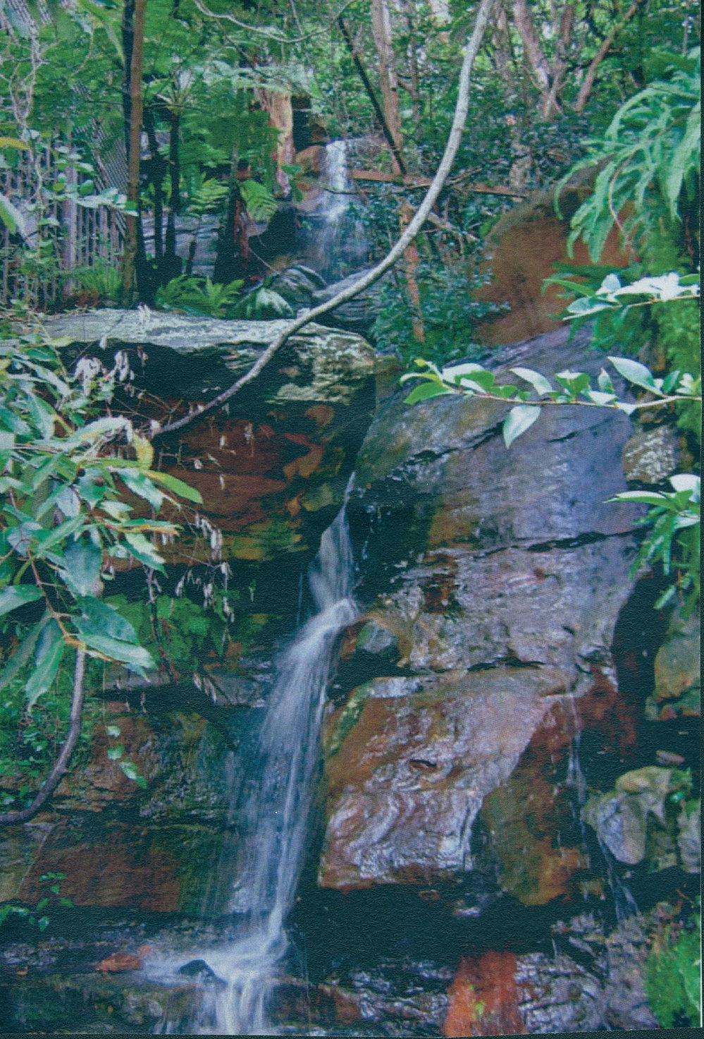 Unnamed waterfall, Palm Beach.