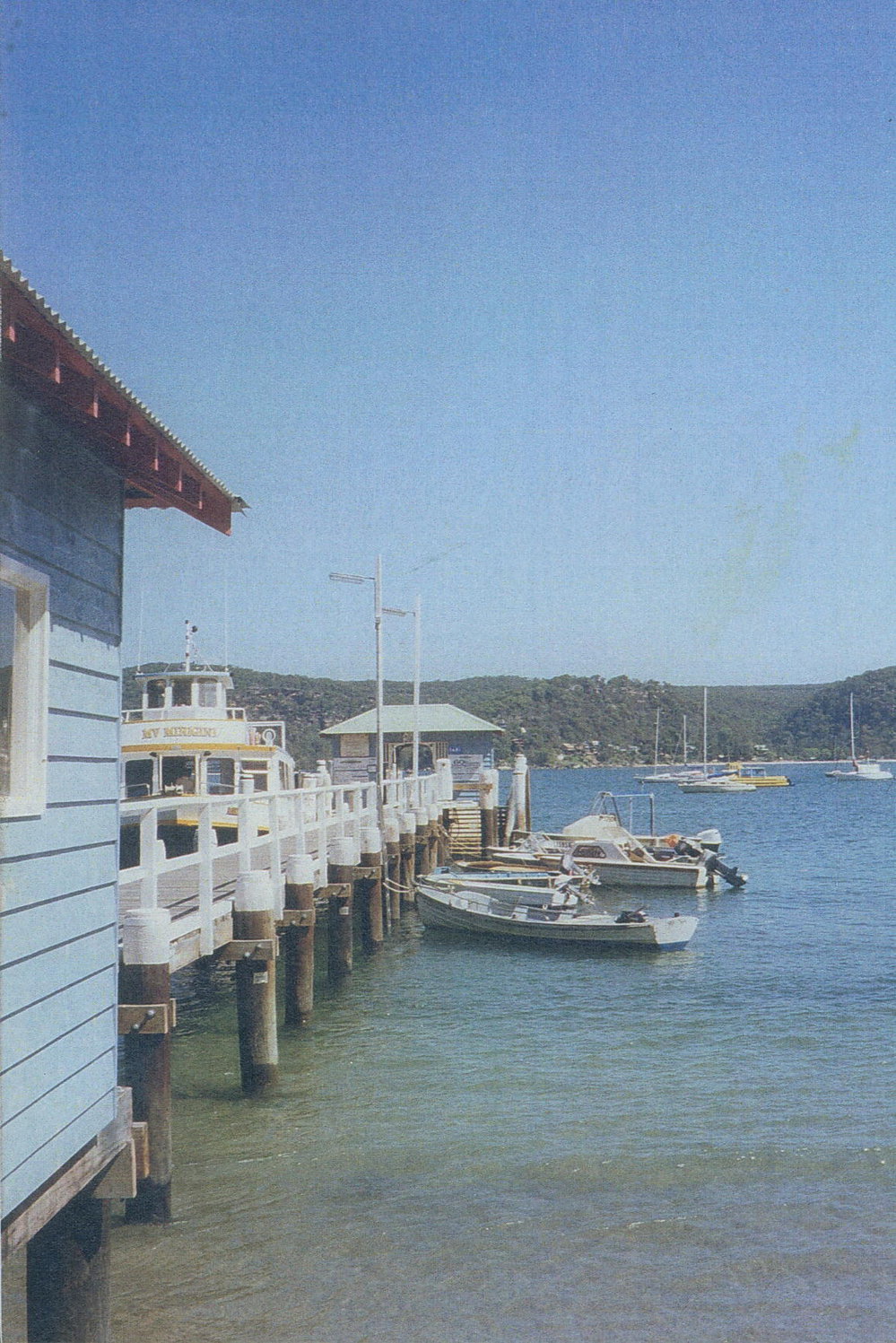 Boats at Palm Beach Wharf