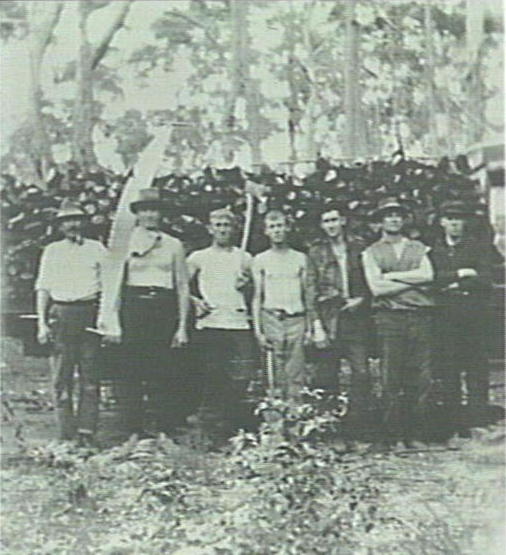 Employees of Machon's Saw Mill Collecting fire wood, Narrabeen (N.S.W.)