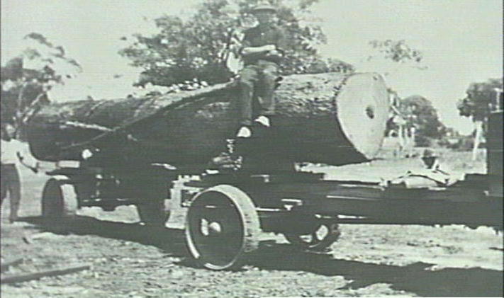 Collecting timber for Machon's saw mill at Narrabeen