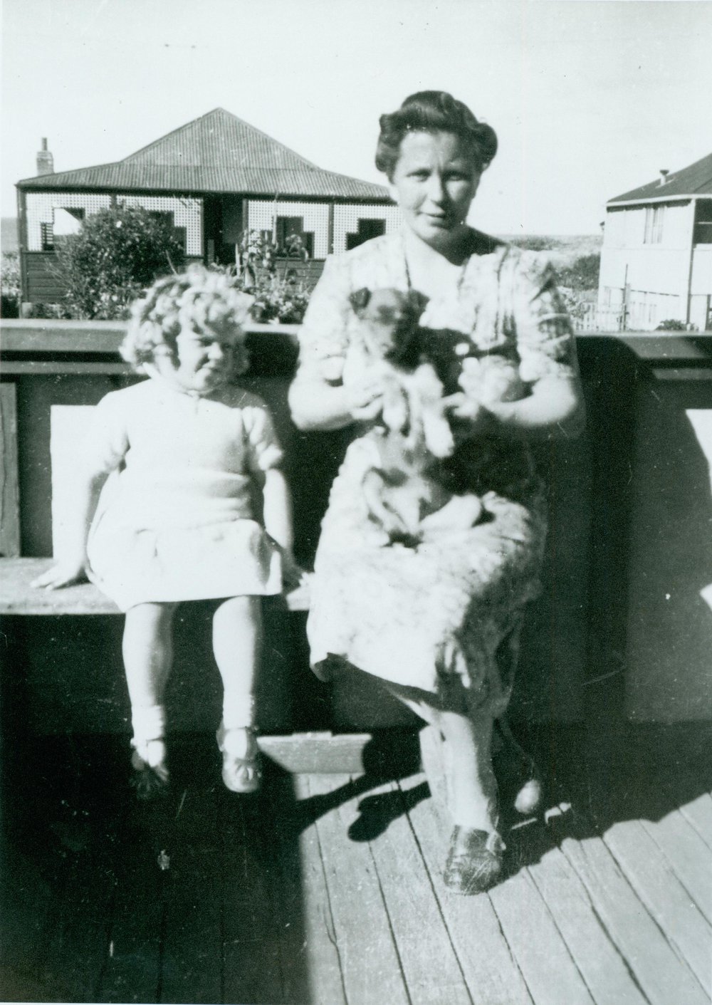 New puppy, 126 Ocean Street, Narrabeen