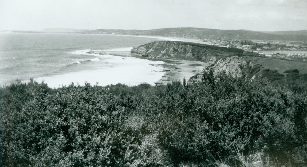 Looking south from top of Turimetta Headland towards Turimetta Beach.