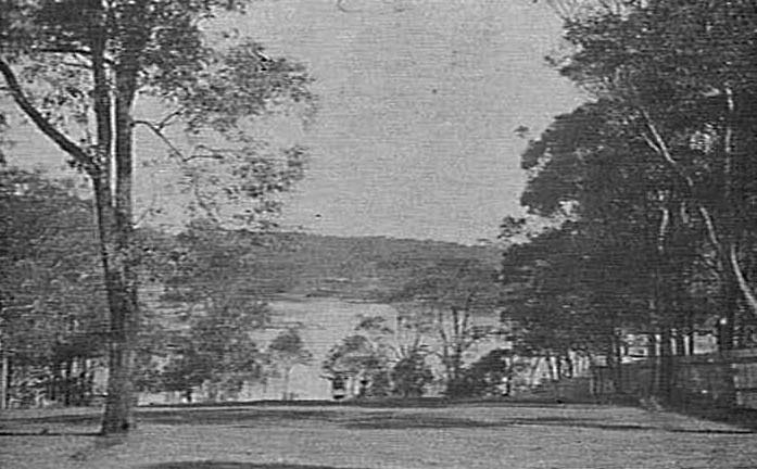 Newport, Pittwater side, 1919